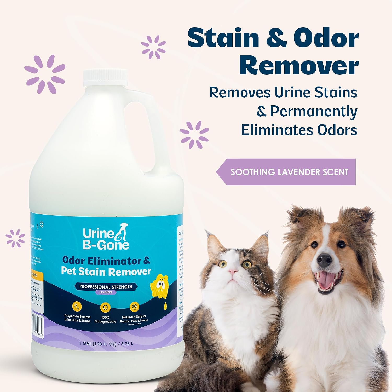 Urine B-Gone professional strength pet stain remover bottle