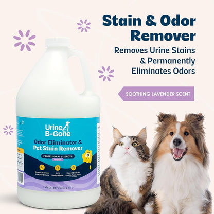 Urine B-Gone professional strength pet stain remover bottle