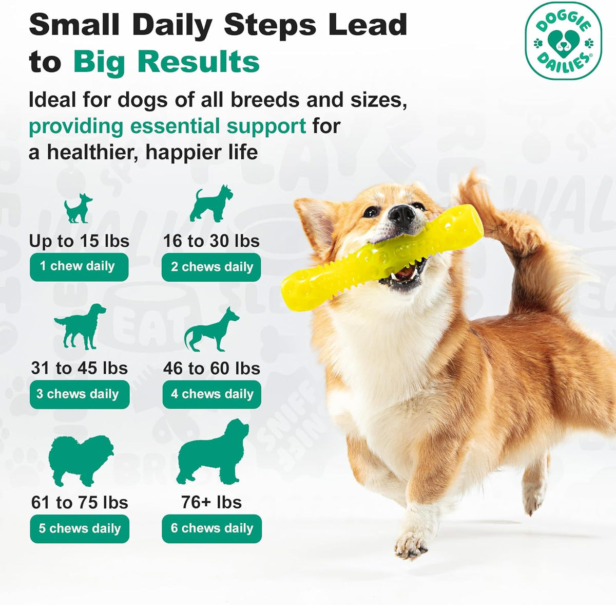 Natural canine probiotic soft chews for sensitive stomach relief