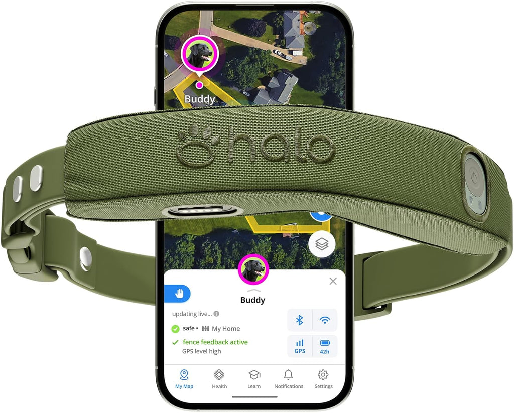 Halo Collar 5 Wireless Dog Fence & GPS Dog Collar, Keep Your Dog Safely Contained Outdoors with App-Controlled Boundaries and Real-Time Tracking, One Size, Orchid - Image 9