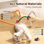 Natural silvervine stick with gall fruit for indoor cats