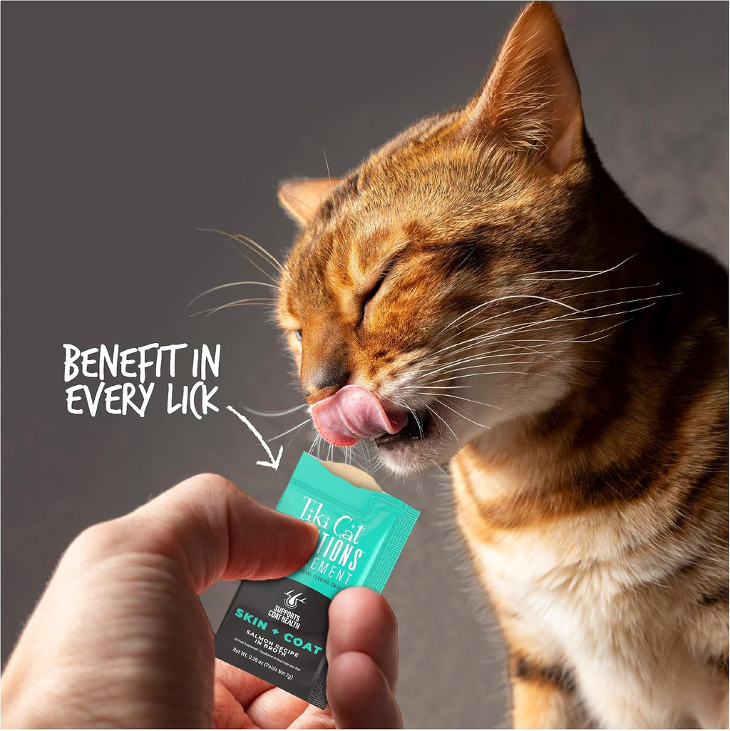 Silky smooth salmon mousse texture demonstration for picky eater cats