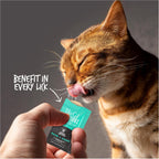 Silky smooth salmon mousse texture demonstration for picky eater cats