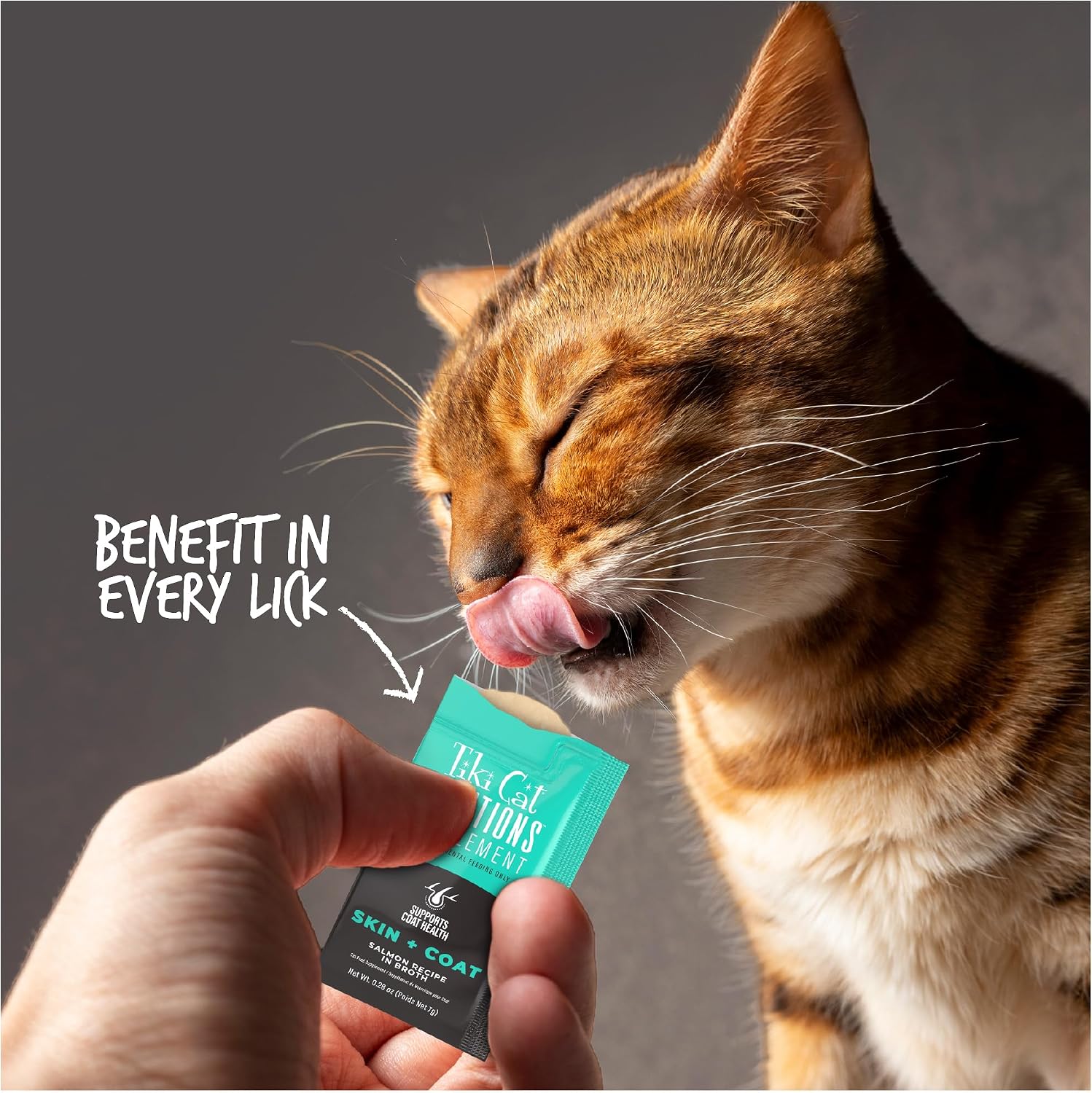 Silky smooth salmon mousse texture demonstration for picky eater cats