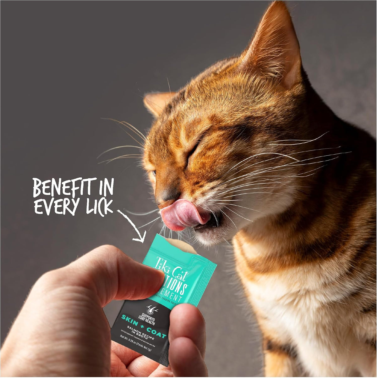 Silky smooth salmon mousse texture demonstration for picky eater cats