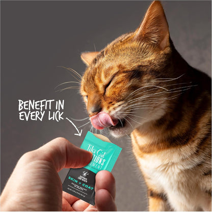 Silky smooth salmon mousse texture demonstration for picky eater cats