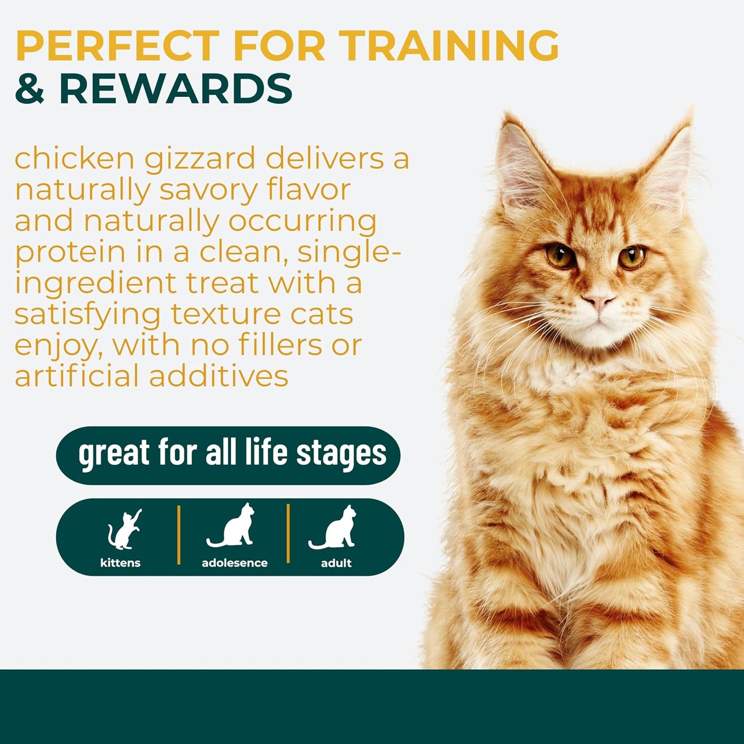 Authentic American premium cat snacks imported by Rudra Retails