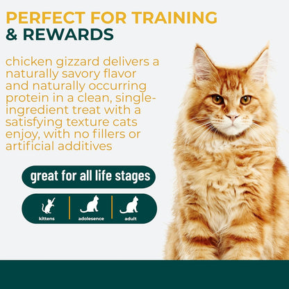 Authentic American premium cat snacks imported by Rudra Retails