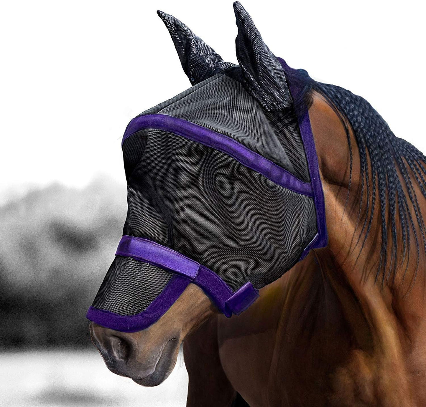Secure double touch-tape fastener detail on horse mask