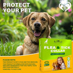 Size guide illustration for Beloved Pets flea and tick collar