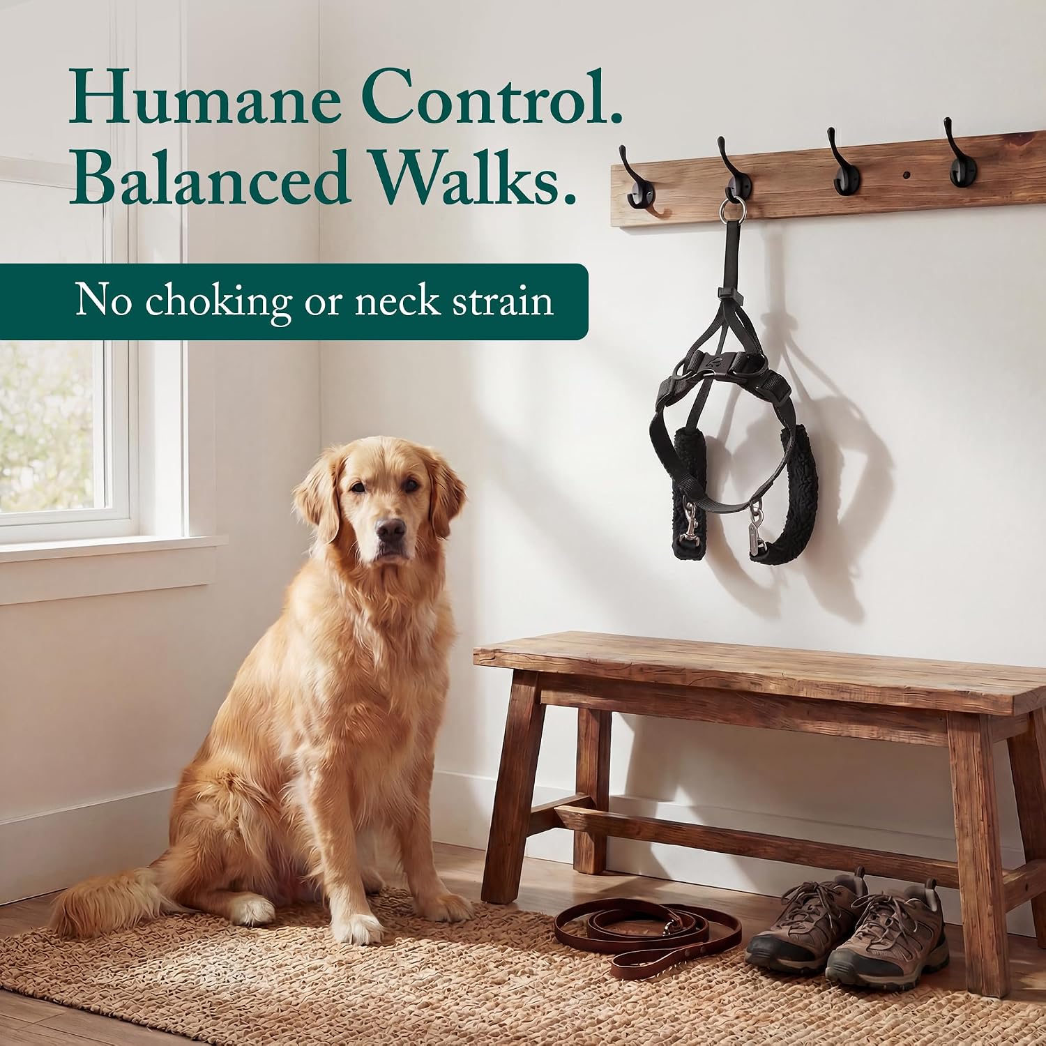 Black Sporn training halter for dogs laid flat highlighting the veterinary recommended choke free design