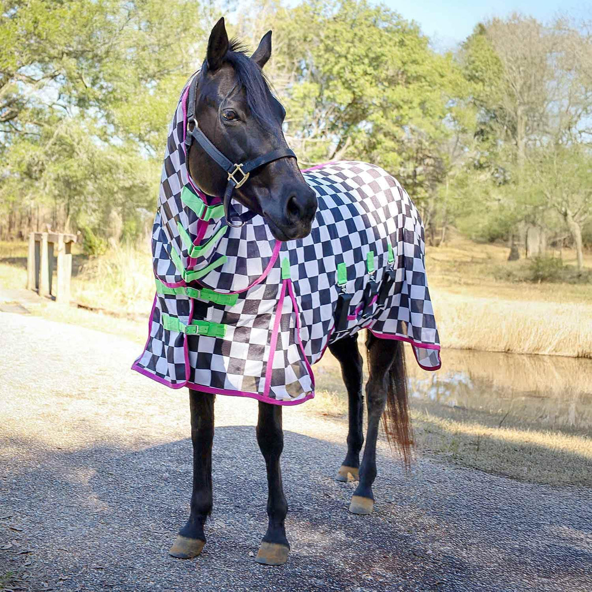 Jeffers Expression Soft Mesh Fly Sheet for Horses 66" - Rose Garden Pattern, Lightweight Mesh Combo Neck Sheet, Breathable UV Protection, Summer Horse Blanket with Straps for Stable or Turnout - Image 9