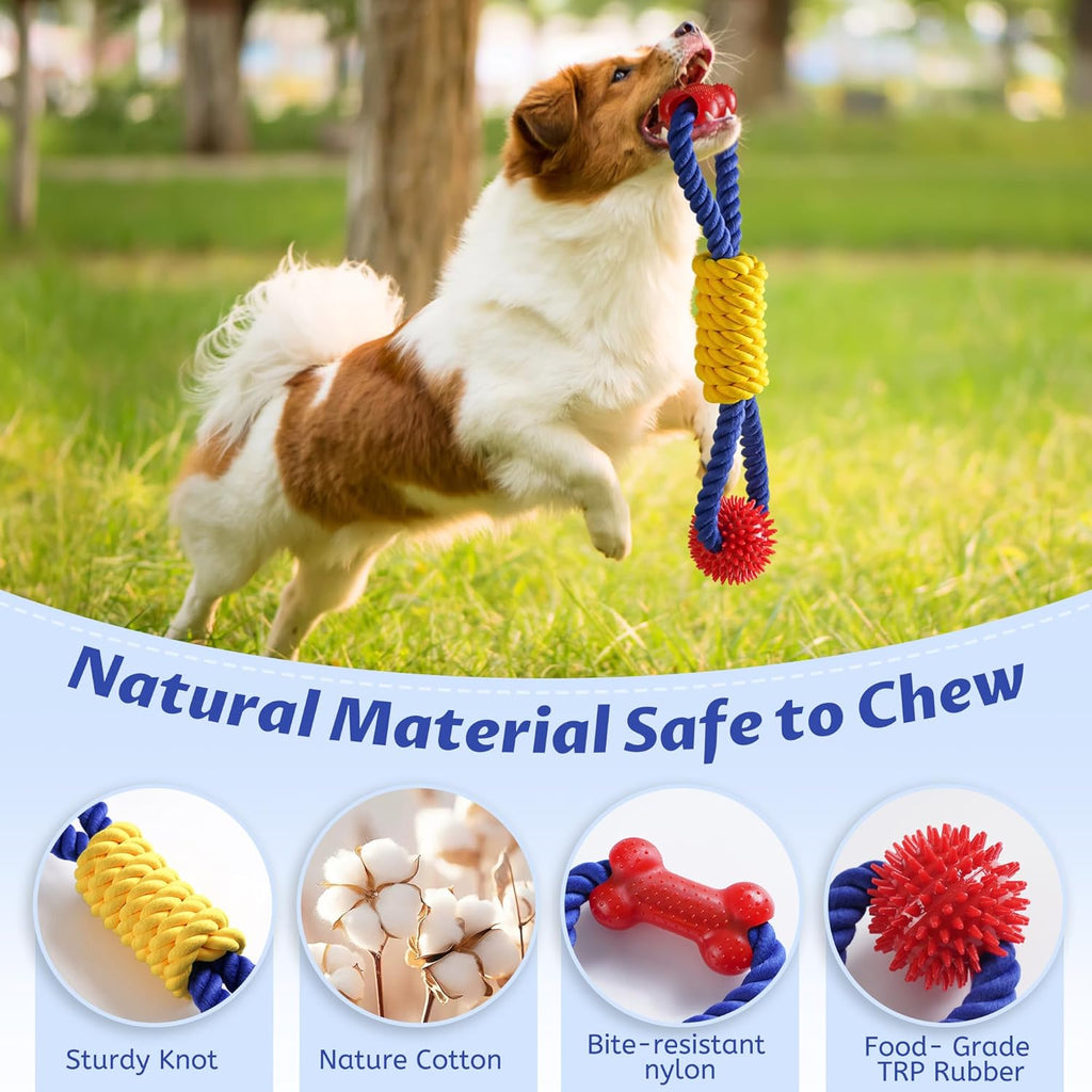 Yellow Labrador holding the premium Aitmexcn tug of war rope toy in its mouth during outdoor play.