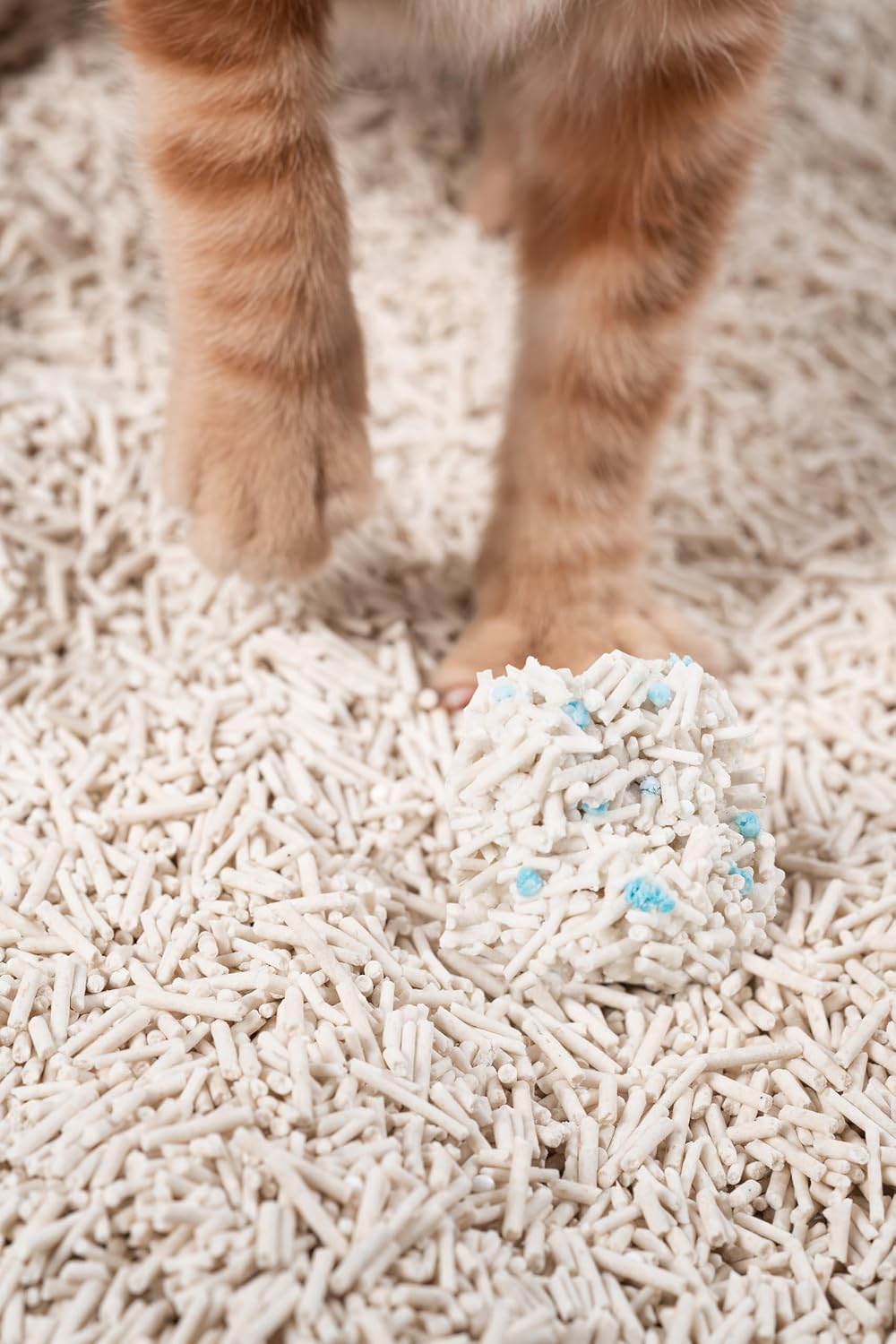 pidan Tofu Cat Litter Clumping,Flushable,Ultra Absorbent and Fast Drying, 100% Natural Ingredients Litter,Solubility in Water,Really Dust-Free,Less Scattering (5.3lbx4bags) - Image 12