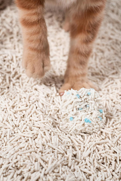pidan Tofu Cat Litter Clumping,Flushable,Ultra Absorbent and Fast Drying, 100% Natural Ingredients Litter,Solubility in Water,Really Dust-Free,Less Scattering (5.3lbx4bags) - Image 12
