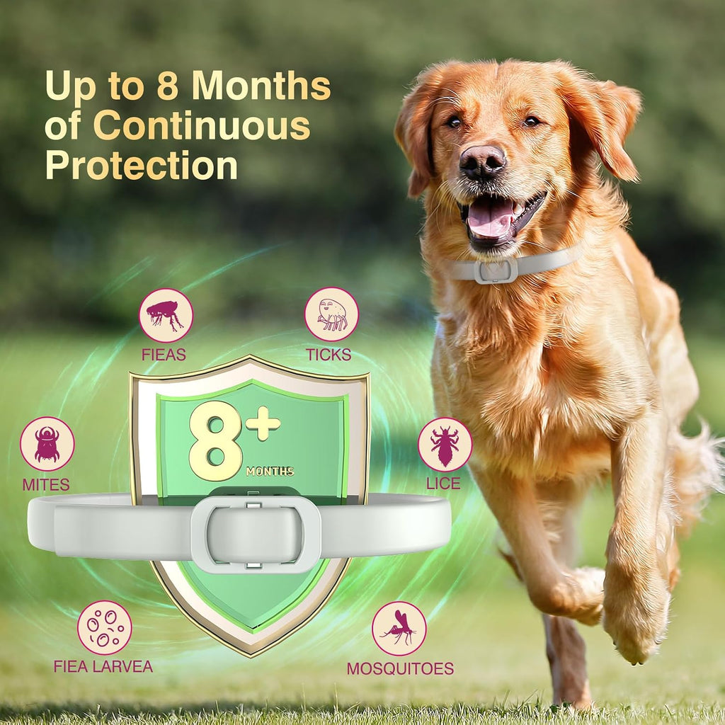 Close up of botanical ingredient flea and tick collar