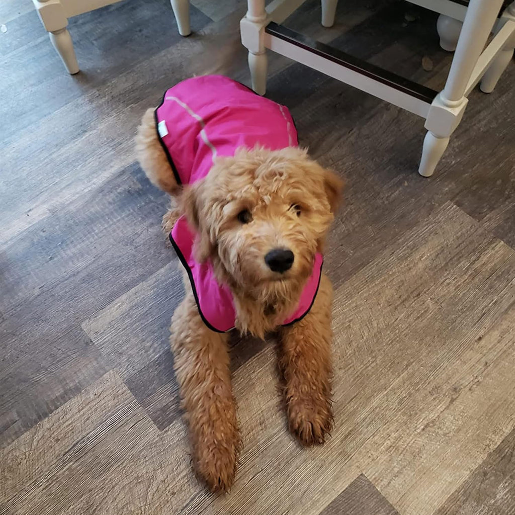 Step in step out protective dog clothes for outdoor safety