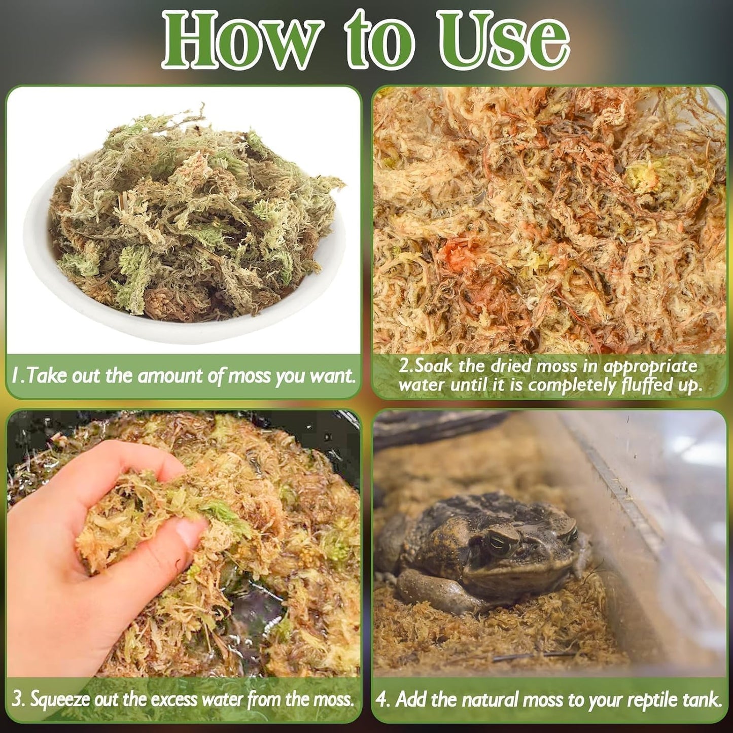 Halatool un dyed reptile moss inside a humid hide box setup