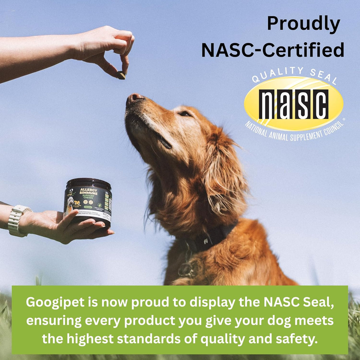 Premium imported canine prebiotics and probiotics for itchy skin and ears