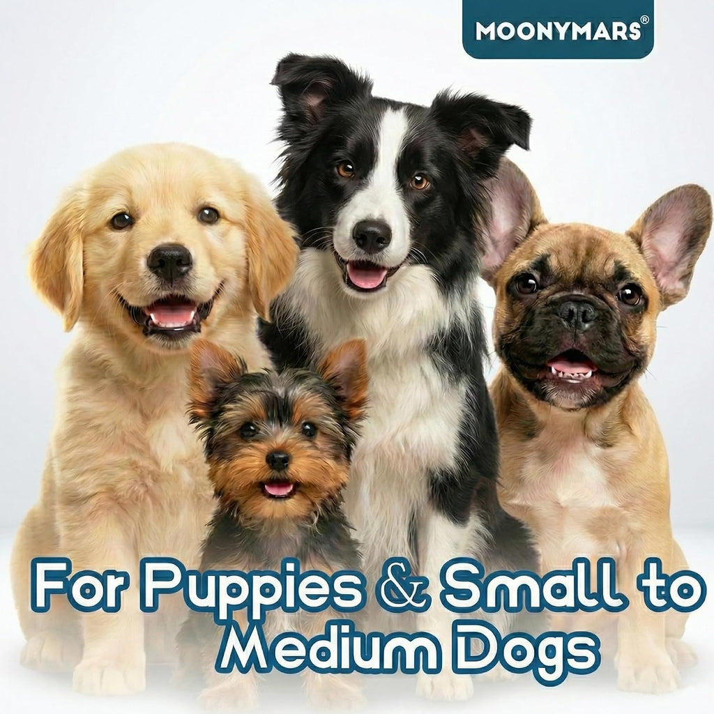 MoonyMars toothbrush demonstrating easy reach for tiny pet teeth