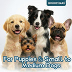 MoonyMars toothbrush demonstrating easy reach for tiny pet teeth