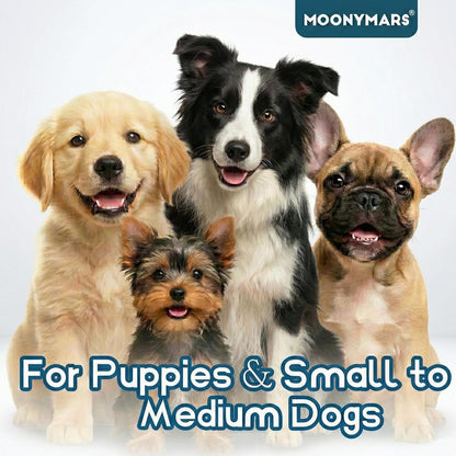 MoonyMars toothbrush demonstrating easy reach for tiny pet teeth