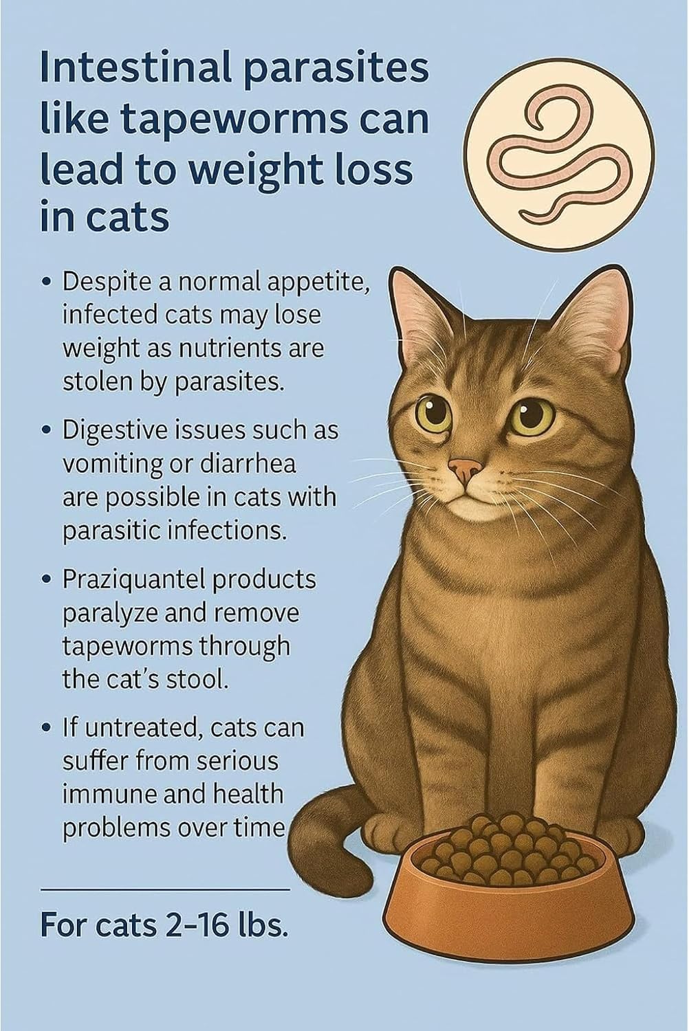 Imported USA feline intestinal parasite treatment bottle