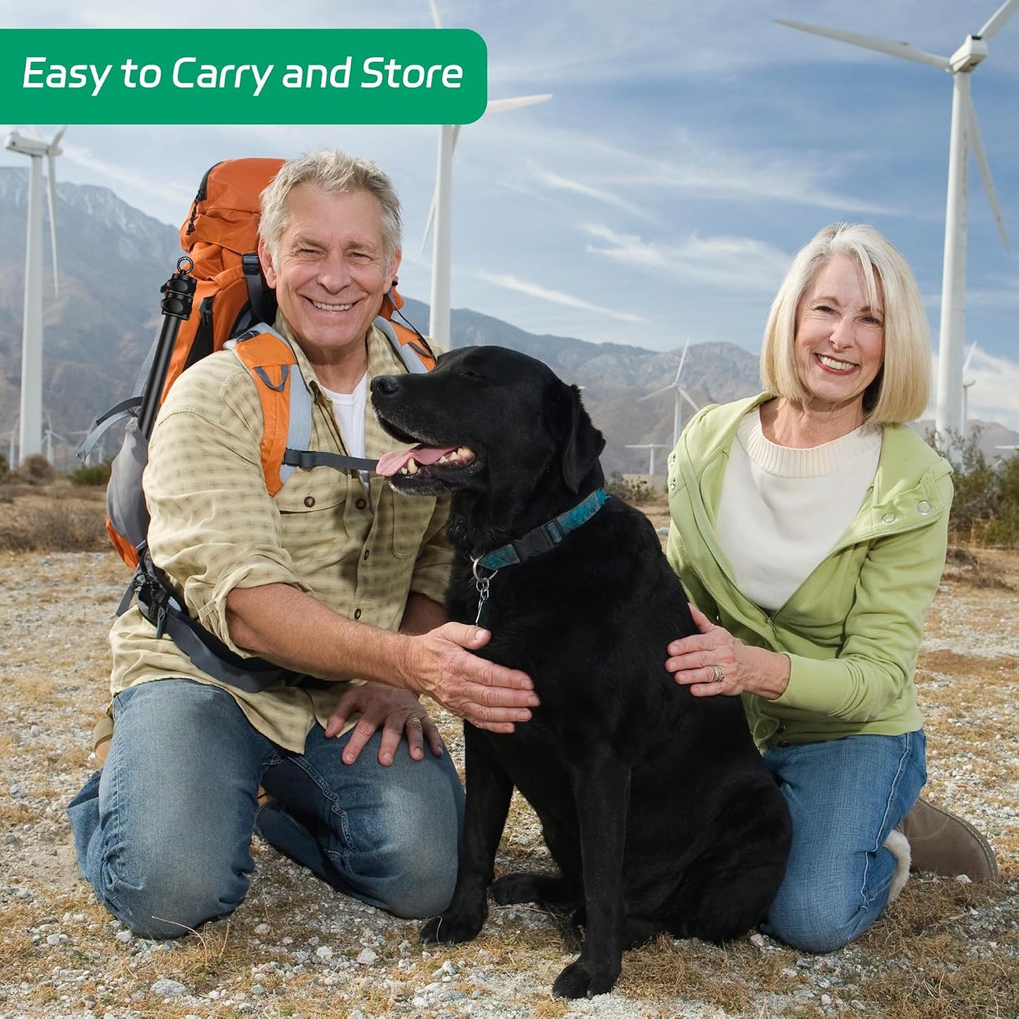AmaCielo premium imported dog flirt stick pack contents laid out clearly on clean background.