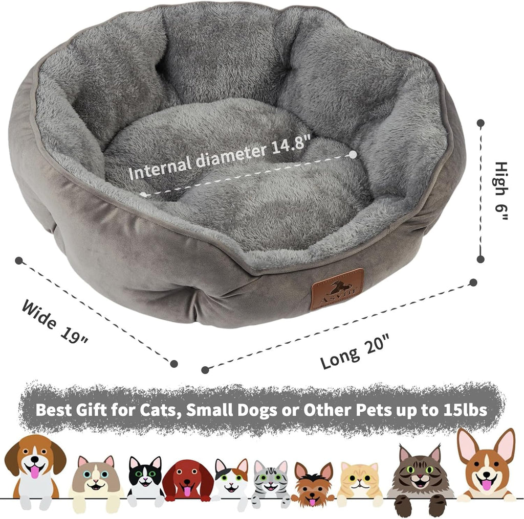 Asvin 20 inch cat bed plush interior