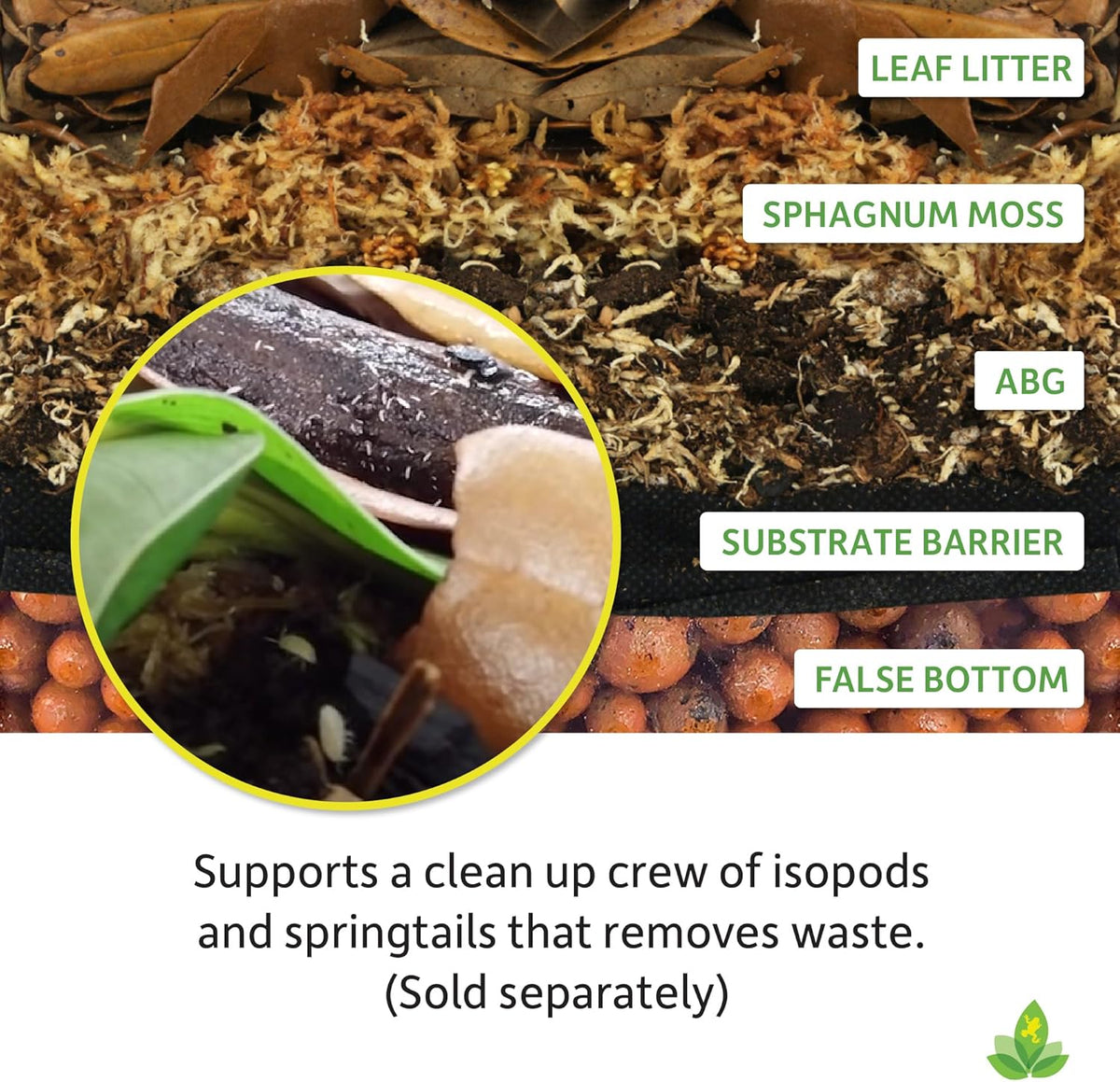 Joshs Frogs ABG Mix with tropical plants and moss
