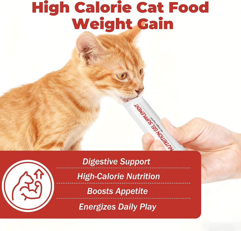 VivaElixir high calorie cat supplement tube being served
