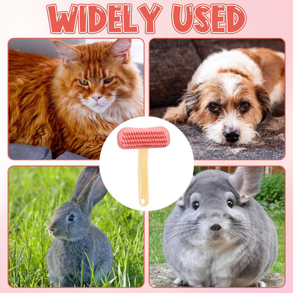 Close up view of rounded pins on small animal massage brush