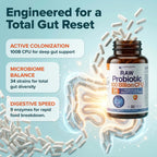 Wholesome Wellness Organic Raw Probiotics probiotic strains and enzyme breakdown