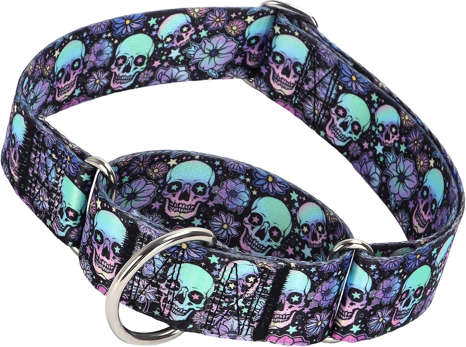Maowuwujoz skulls martingale dog collar front view heavy duty training collar