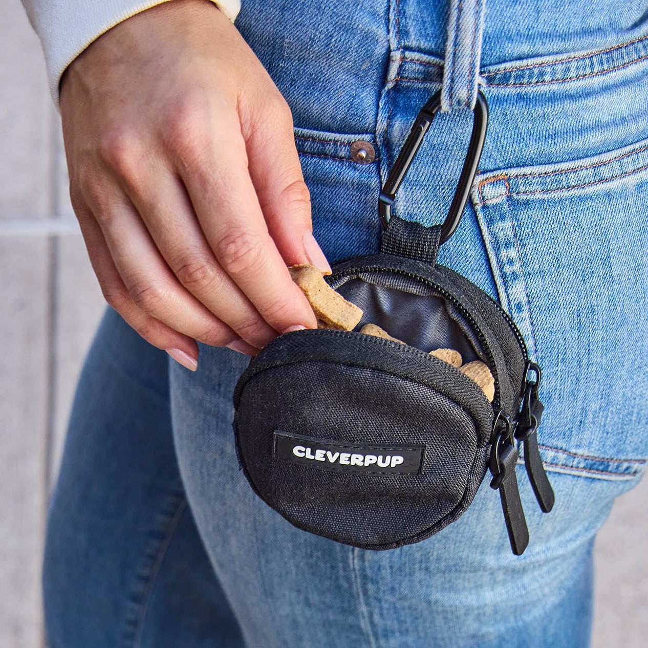 Cleverpup graphite treat carrier attached to a black leash via metal carabiner