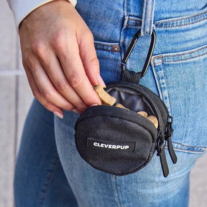 Cleverpup graphite treat carrier attached to a black leash via metal carabiner