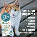 HomeoPet Feline Hairball supplement dropper bottle close up