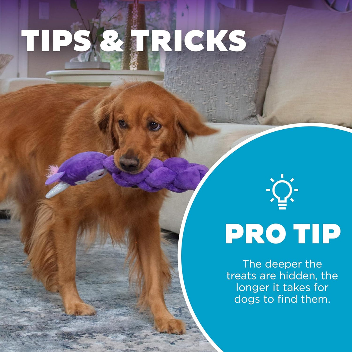 Top view of purple unicorn plush dog puzzle toy