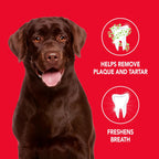 Petrodex poultry flavor dog toothpaste tube size reference