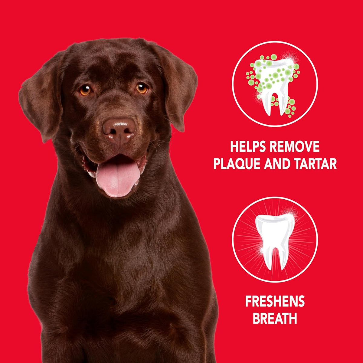 Petrodex poultry flavor dog toothpaste tube size reference