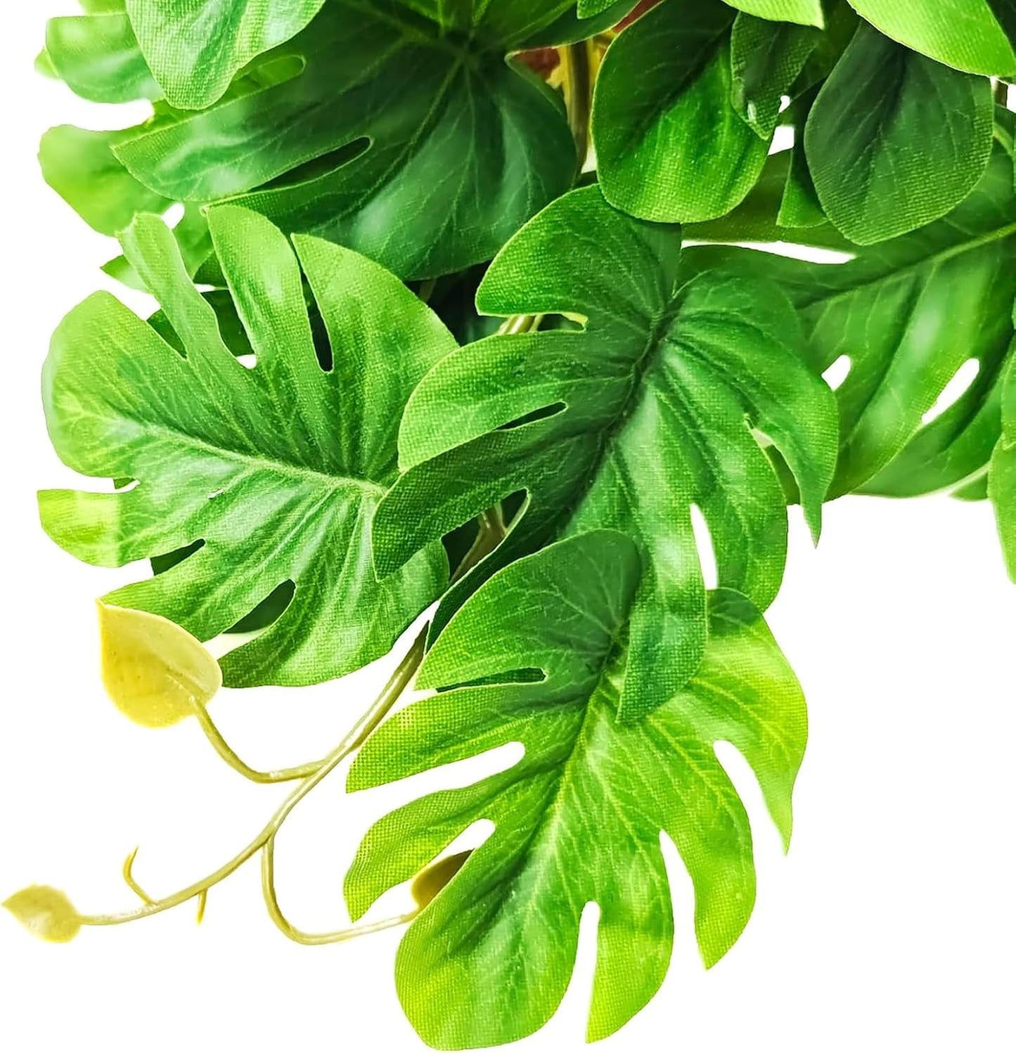 Woyrise Reptile Plants for Terrarium, Artificial Hanging Plants with Suction Cups, Amphibian Tank Habitat Decor Plastic Plant for Bearded Dragons Lizards Snake Geckos Frogs - 2Pack Fake Monstera - Image 9