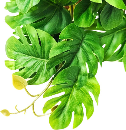 Woyrise Reptile Plants for Terrarium, Artificial Hanging Plants with Suction Cups, Amphibian Tank Habitat Decor Plastic Plant for Bearded Dragons Lizards Snake Geckos Frogs - 2Pack Fake Monstera - Image 9