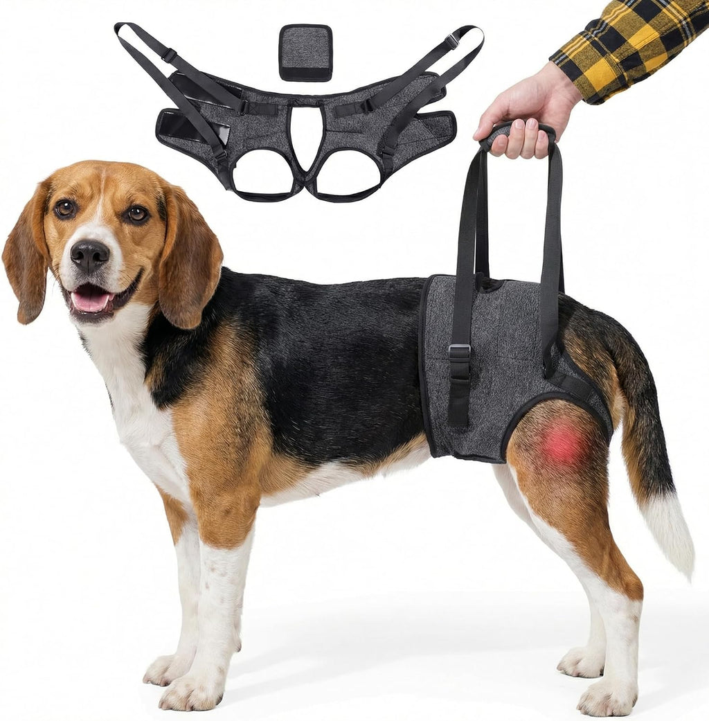 Large grey dog lift harness with reinforced safety straps