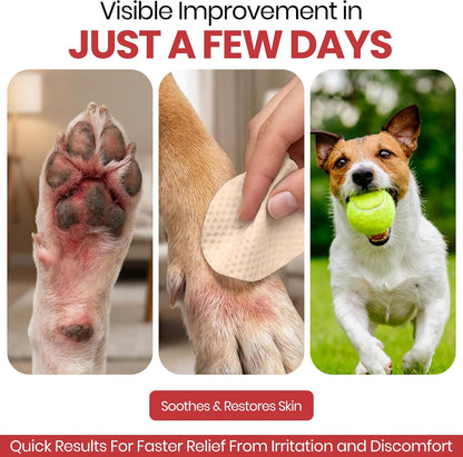 Chew + Heal Labs imported pet wipes packaging for hot spot treatment.