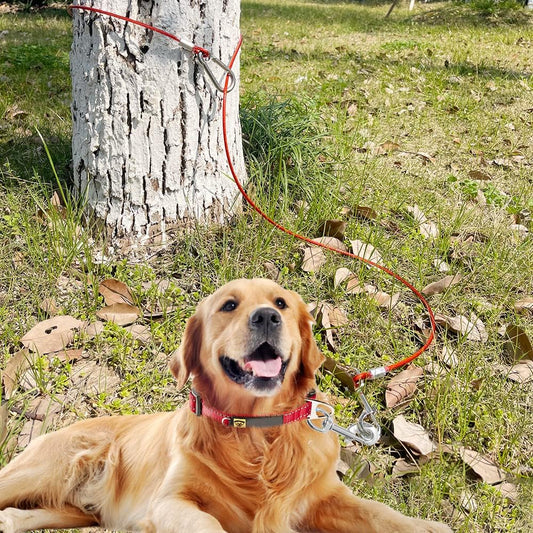 Mi Metty unchewable steel wire training lead emphasizing the three hundred and sixty degree rotatable swivel hook.