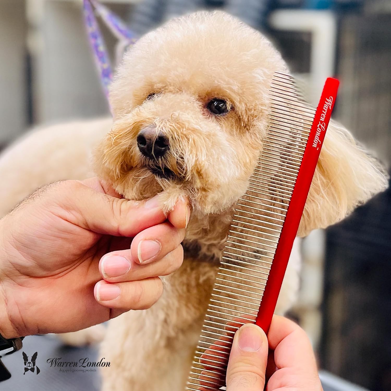 Side angle view of the Warren London stainless steel grooming comb showing the uniform bristle arrangement.