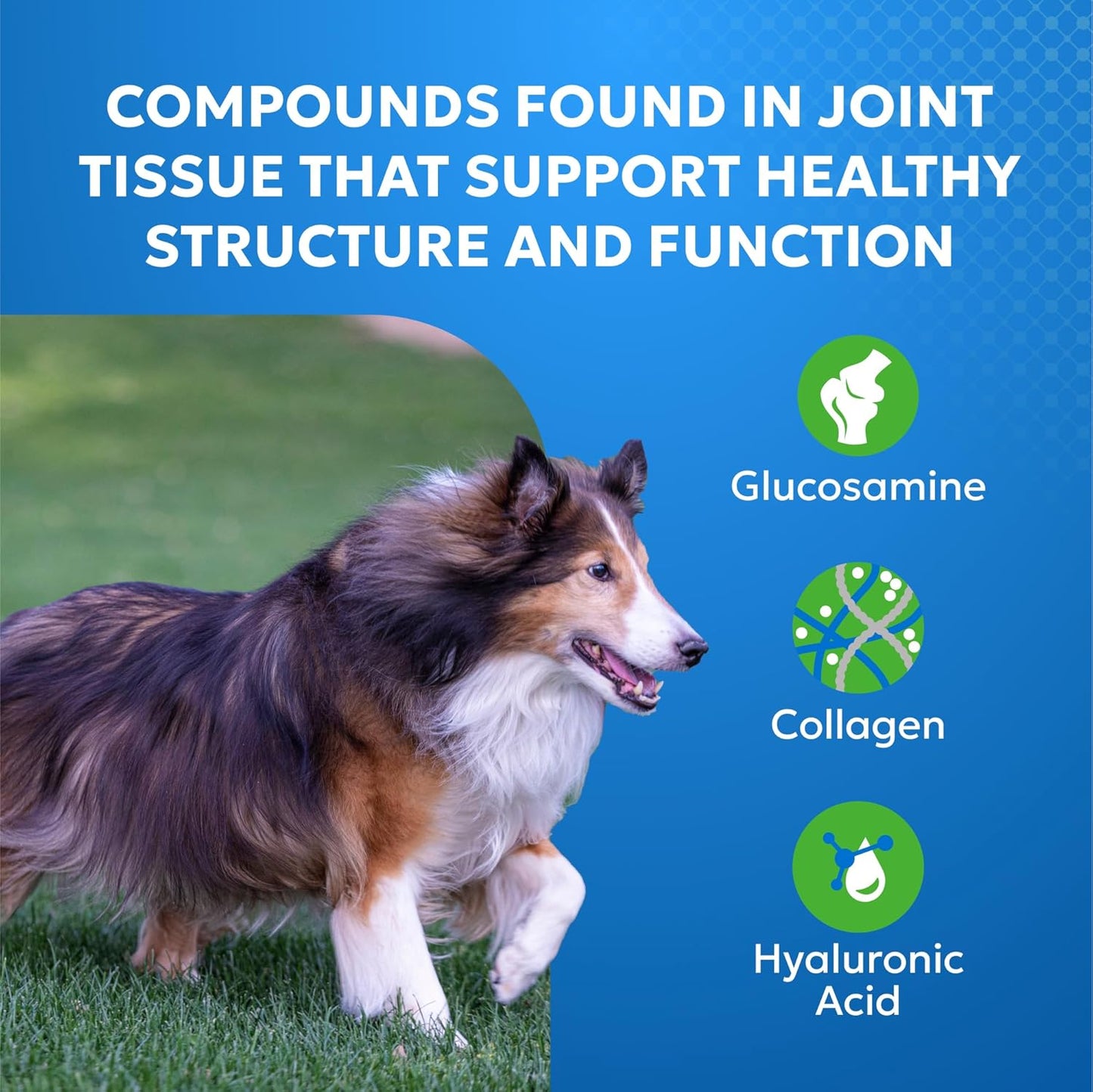 Cosequin Elements supplement for dogs with Glucosamine and Green Lipped Mussel
