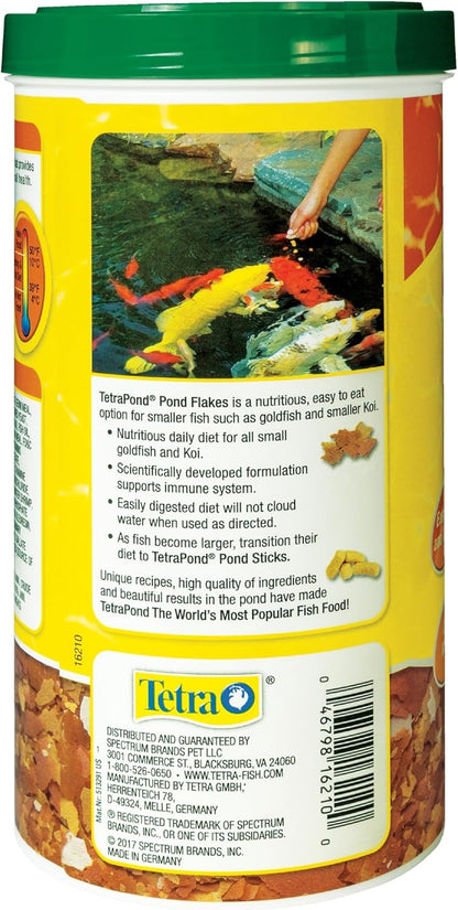 Small koi fish eating floating pond flakes