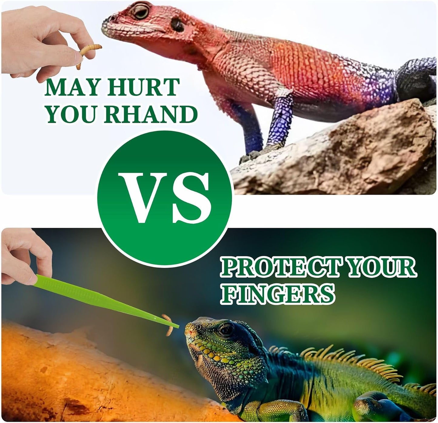 User holding haizusai tweezers to feed a bearded dragon