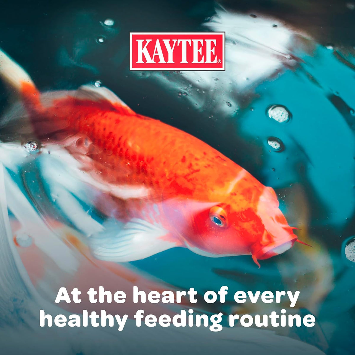Kaytee fish food bag displayed in an outdoor garden setting